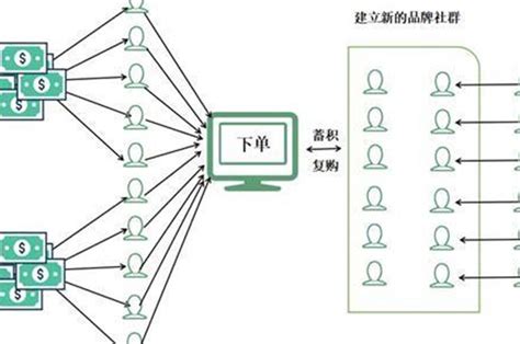 社群电商是什么